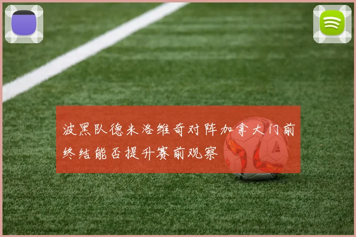 波黑队德米洛维奇对阵加拿大门前终结能否提升赛前观察