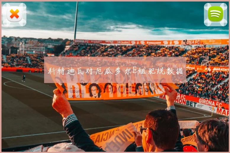 科特迪瓦对厄瓜多尔E组犯规数据