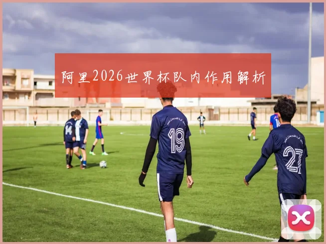 阿里2026世界杯队内作用解析