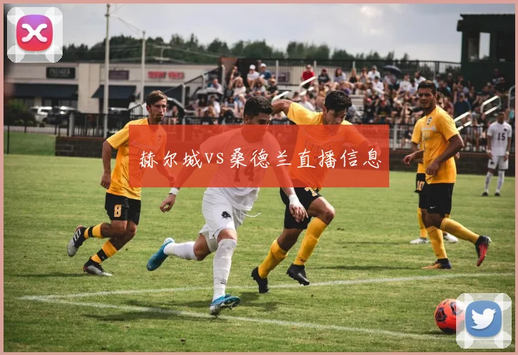赫尔城vs桑德兰直播信息