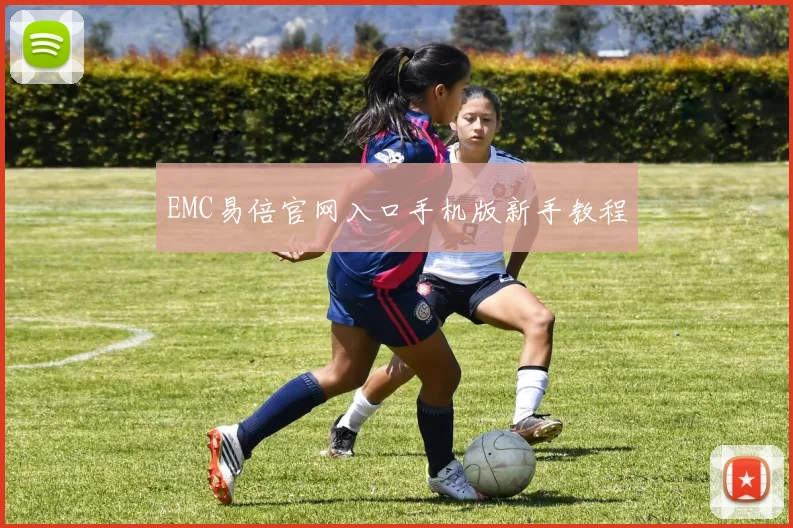 EMC易倍官网入口手机版新手教程