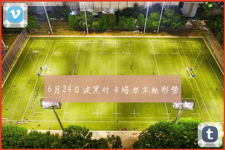 6月24日波黑对卡塔尔末轮形势