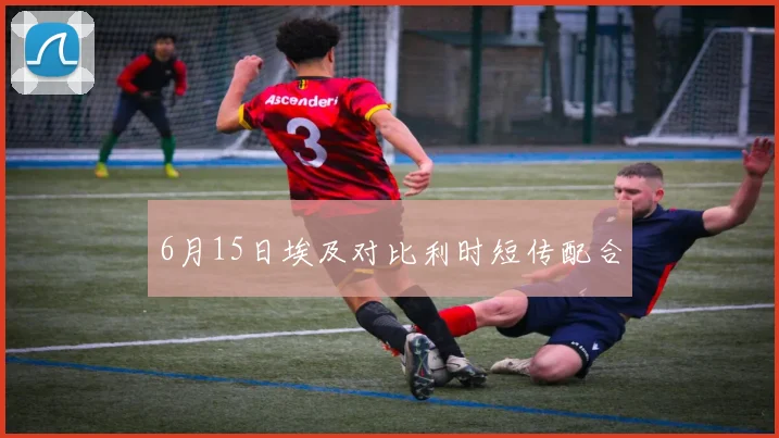 6月15日埃及对比利时短传配合